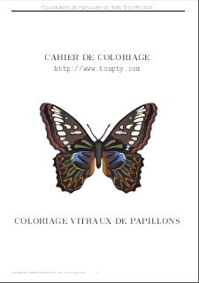papillon livre de coloriage 2 pdf