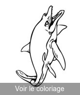 coloriage dessin requin préhistorique