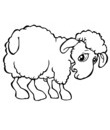 mouton animal laine
