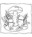 dessin 15 de champignon a imprimer