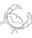 crabe touteau mer