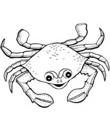 Crabe Coloriage Gratuit A Imprimer De Crabes Toupty Com
