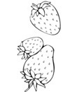 dessin fruit et légume a imprimer