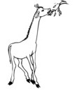 image GIF girafe a colorier après impression