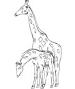 girafe clip art a colorier