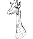  image girafe a colorier