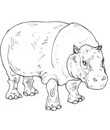 hippopotame image a imprimer et colorier