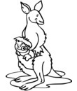 imprimer pour coloriage dessin kangourou