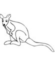a colorier :esquisse kangourou
