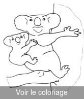 coloriage koala et son bébé sur le dos