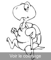 Tortue Coloriage Tortues Rigolotes Toupty Com