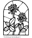coloriage de vitrail de fleur a imprimer