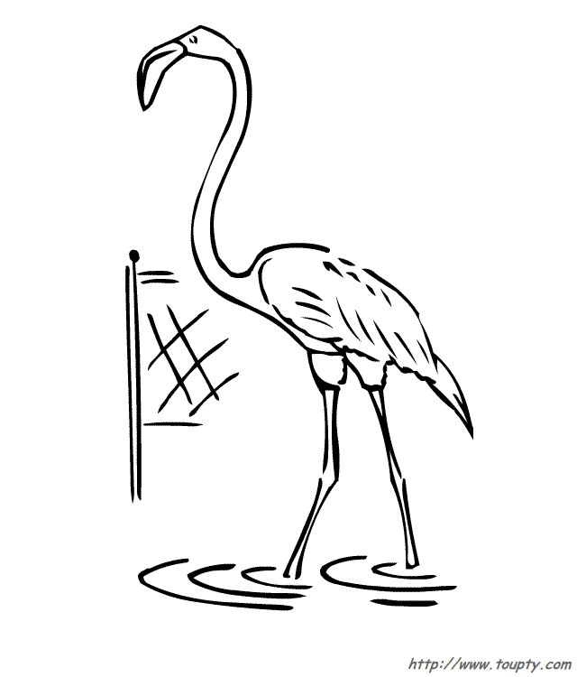 Coloriage Animaux du zoo