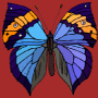 coloriage de papillons