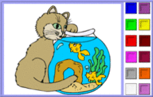 chat poisson aquarium