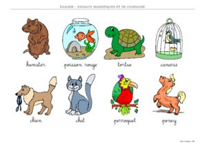 animaux domestiques