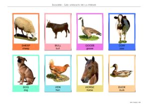 imagier animaux de ferme en anglais