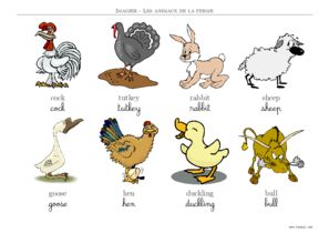 imagier animaux de la ferme en anglais