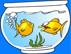 puzzle des poissons dans leur bocal