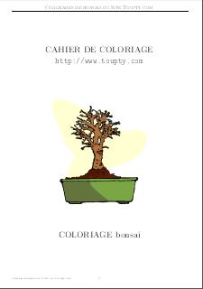 coloriage bonsai