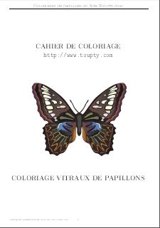 coloriage papillon