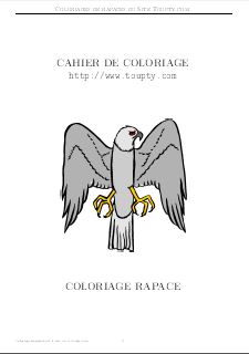 coloriage rapace