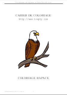 coloriage rapace