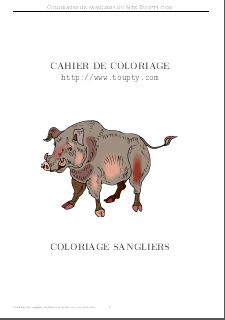 coloriage sanglier