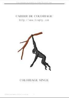 singe : cahier de coloriage format pdf a imprimer