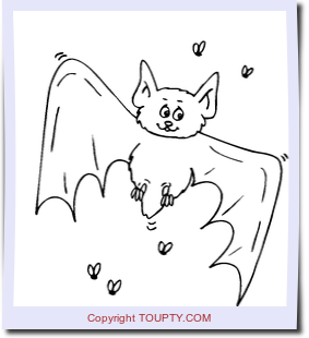 chauve-souris