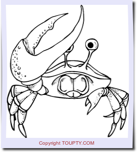 crabe