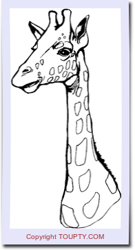 girafe