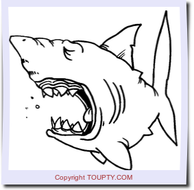 requin