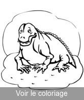 coloriage animal prehistorique mignon