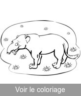 dessin animal prehistorique mignon