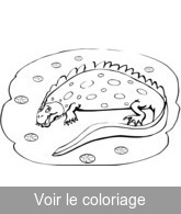 coloriage animal prehistorique mignon