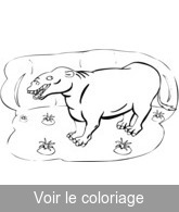 coloriage animal prehistorique mignon