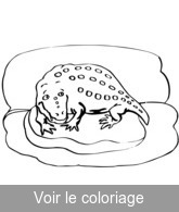 coloriage animal prehistorique mignon