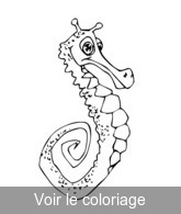 hippocampe cheval de mer