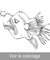 colorier coloriage poisson boudroie