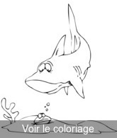 coloriage a imprimer requin