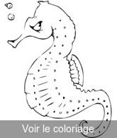 image hippocampe pour colorier