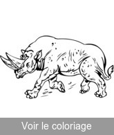 coloriage rhinoceros prehistorique