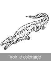 imprimer dessin crocodile préhistorique