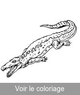 imprimer dessin crocodile préhistorique