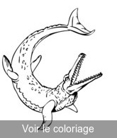 dessin crocodile préhistorique gratuit