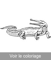 crocodile préhistorique a imprimer gratuitement