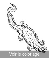 coloriage reptile préhistorique amphibien
