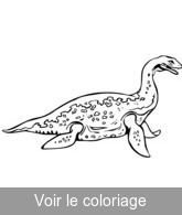 a colorier dessin animal prehistorique marin