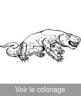 coloriage reptile prehistorique